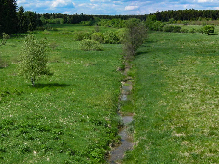 begradigter Bachlauf vor Maßnahmenbeginn