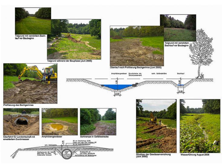 Renaturierungen verrohrter Bäche