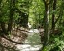 Zugang Treppe Schwarzachklamm