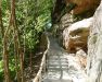unterer Zugang Treppe