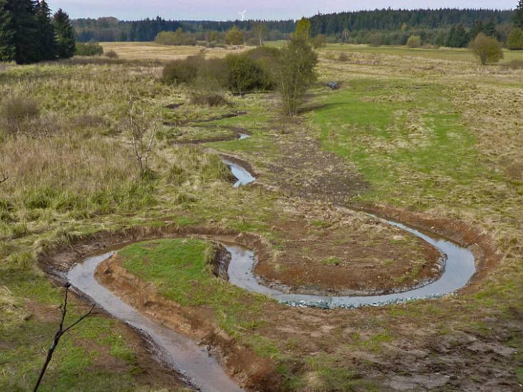 renaturierter Bachlauf nach Vorbild historischer Karten