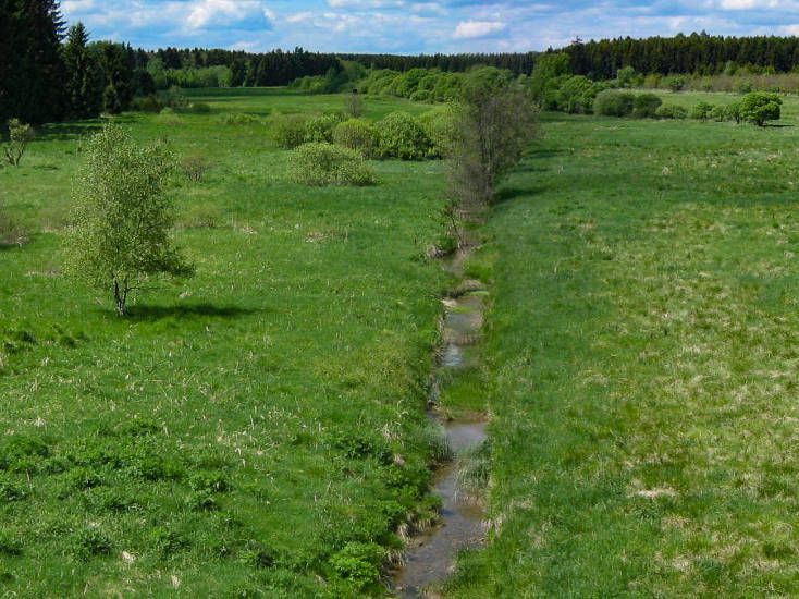 begradigter Bachlauf vor Maßnahmenbeginn